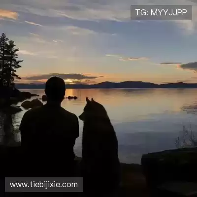 窦芸昀